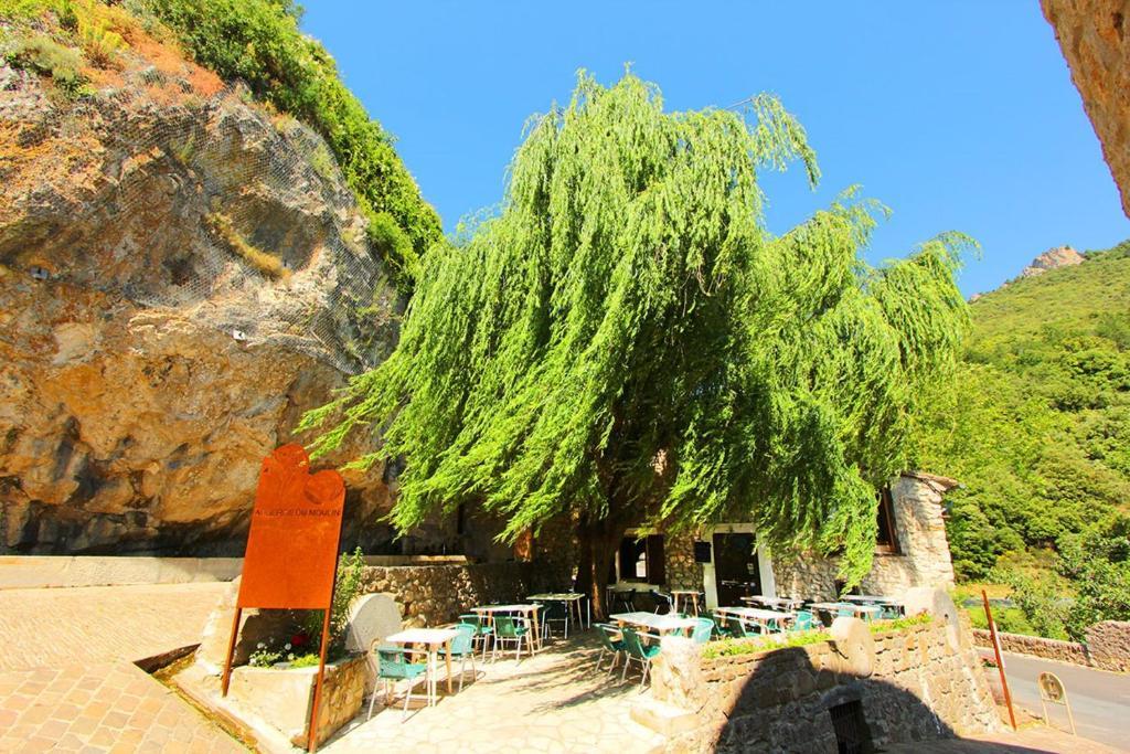 杜尔哈克 老磨坊旅馆酒店 外观 照片